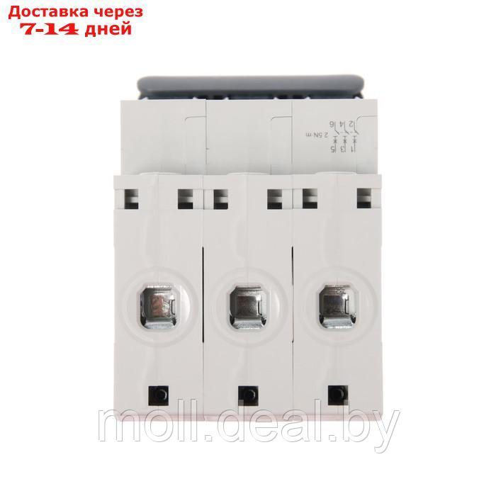 Автоматический выключатель SE City9 Set, С, 40 А, 3P, 4.5 kA, 400 В - фото 5 - id-p209821209