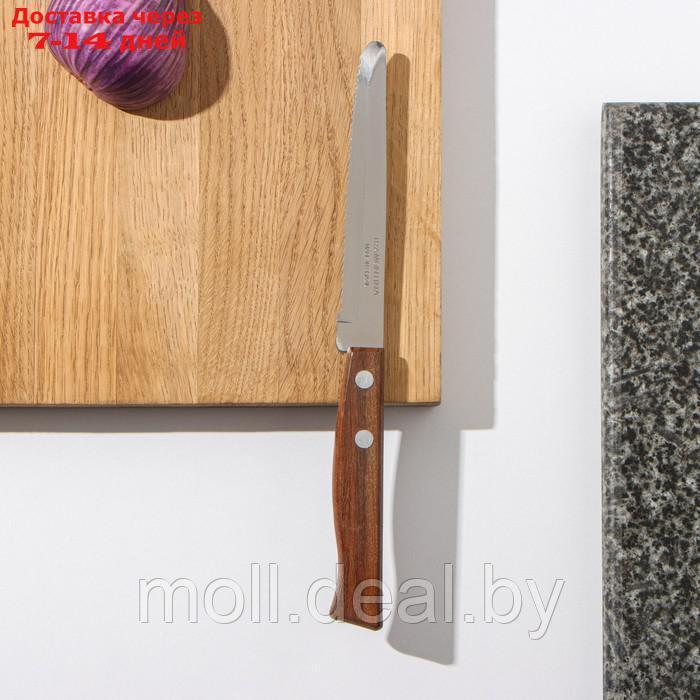 Нож кухонный TRAMONTINA "Tradicional", для фруктов, лезвие 10 см, цена за 2 шт