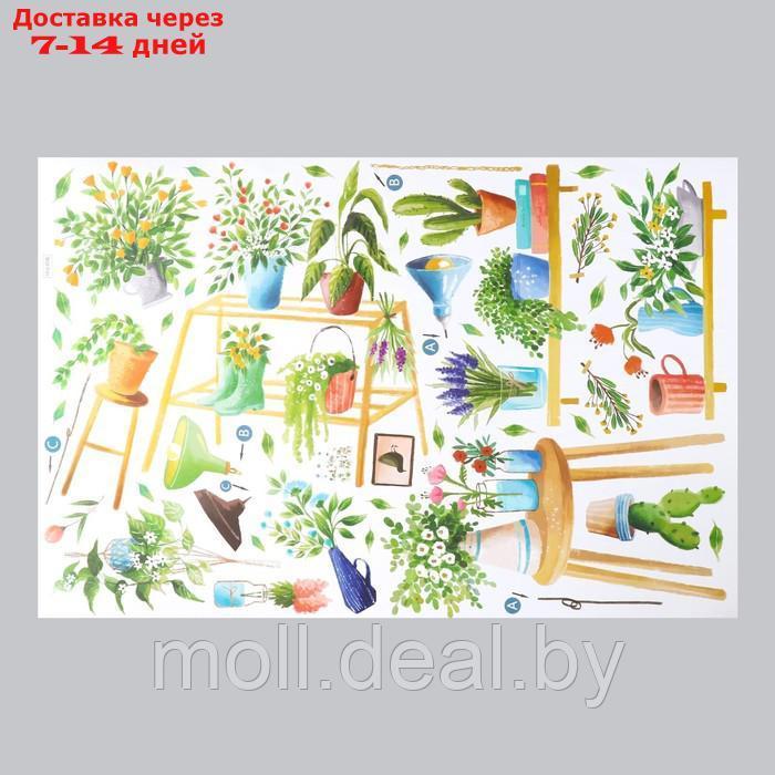 Наклейка пластик интерьерная цветная "Домашние цветы" 60х90 см - фото 2 - id-p209814280