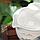 Набор чайный керамический "Восточная мудрость", 4 предмета: 3 пиалы, гайвань, цвет белый, фото 5