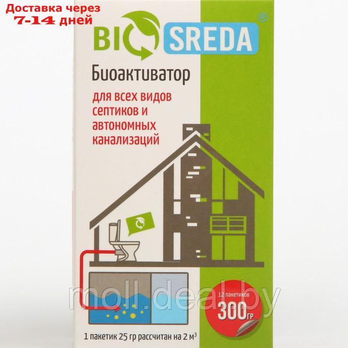 Биоактиватор "BIOSREDA" для всех видов септиков и автономных канализаций, 300 гр - фото 1 - id-p209819299