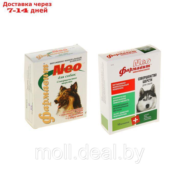 Витаминный комлпекс "Фармавит Neo" для собак, совершенство шерсти, 90 таб - фото 1 - id-p209757098