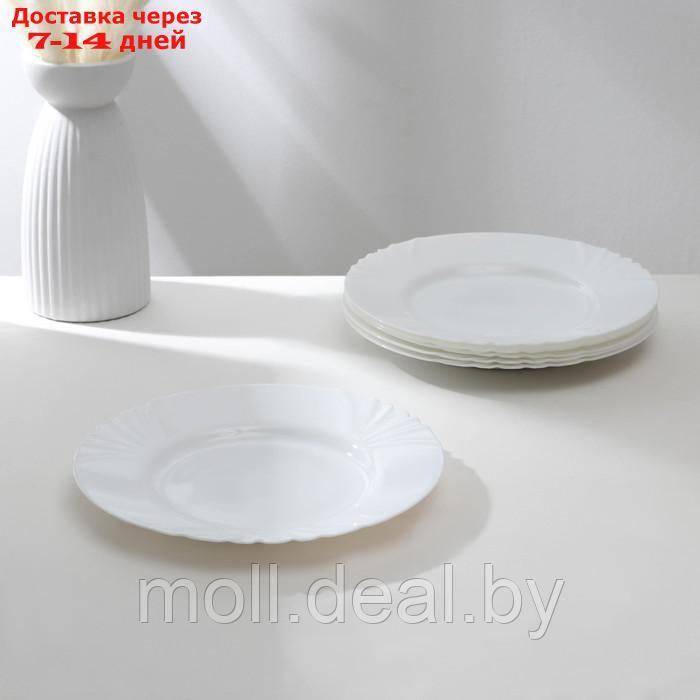 Набор обеденных тарелок Luminarc CADIX, d=25 см, стеклокерамика - фото 1 - id-p209816454