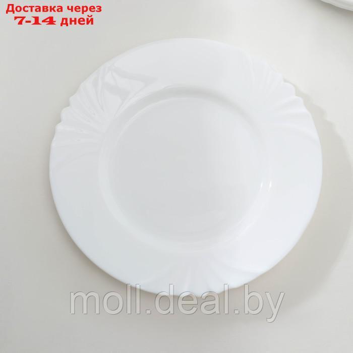 Набор обеденных тарелок Luminarc CADIX, d=25 см, стеклокерамика - фото 3 - id-p209816454