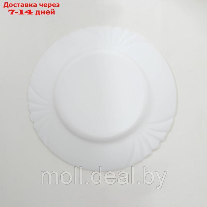 Набор обеденных тарелок Luminarc CADIX, d=25 см, стеклокерамика - фото 4 - id-p209816454