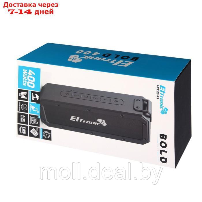 Портативная колонка ELTRONIC BOLD, 40 Вт, 6600 мАч, microSD, BT, AUX, TWS, IPX7 - фото 5 - id-p209756243