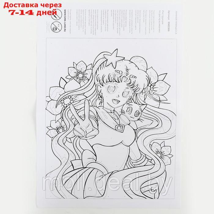 Картина по номерам на холсте с подрамником "Лунная принцесса" 30х40 см, в пленке - фото 2 - id-p209815458