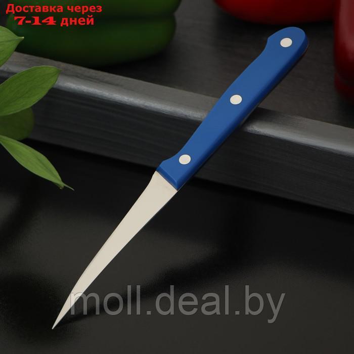Нож кухонный "Фигурный" для карвинга, лезвие 9 см - фото 2 - id-p209821447