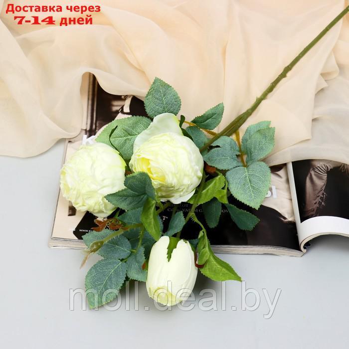 Цветы искусственные "Роза грация" 7х57 см, молочный - фото 1 - id-p209753645