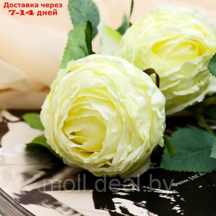 Цветы искусственные "Роза грация" 7х57 см, молочный - фото 2 - id-p209753645