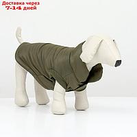 Куртка для собак "Прятки", размер S, зелёная