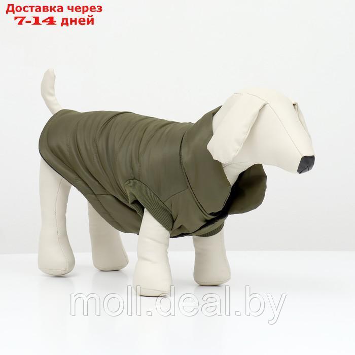 Куртка для собак "Прятки", размер L, зелёная - фото 1 - id-p209821565