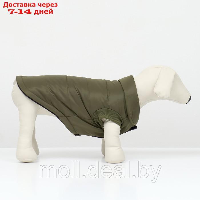 Куртка для собак "Прятки", размер L, зелёная - фото 2 - id-p209821565