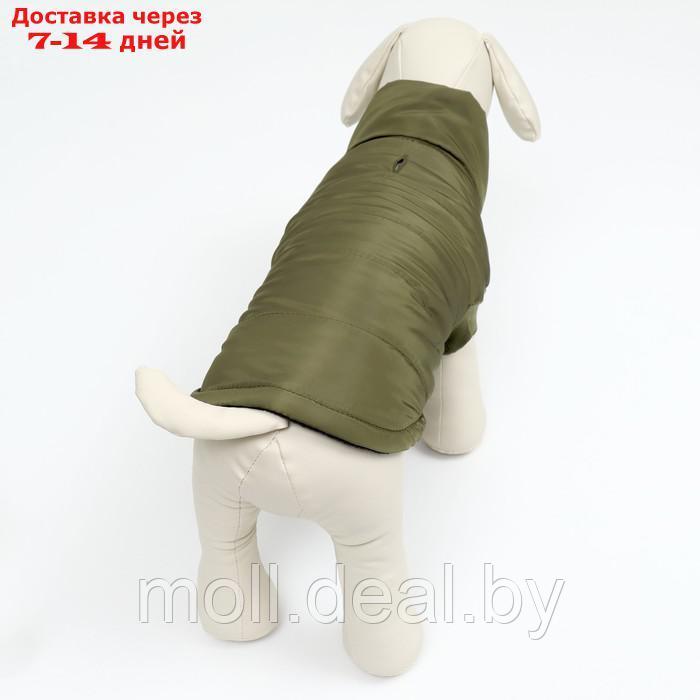 Куртка для собак "Прятки", размер L, зелёная - фото 3 - id-p209821565