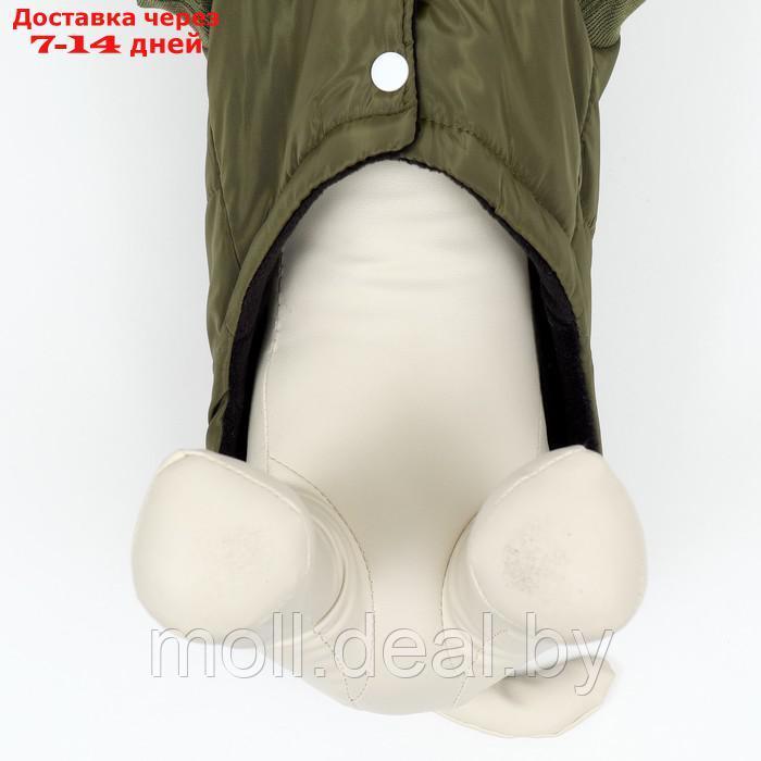 Куртка для собак "Прятки", размер L, зелёная - фото 4 - id-p209821565
