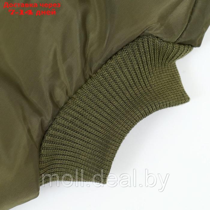 Куртка для собак "Прятки", размер L, зелёная - фото 8 - id-p209821565