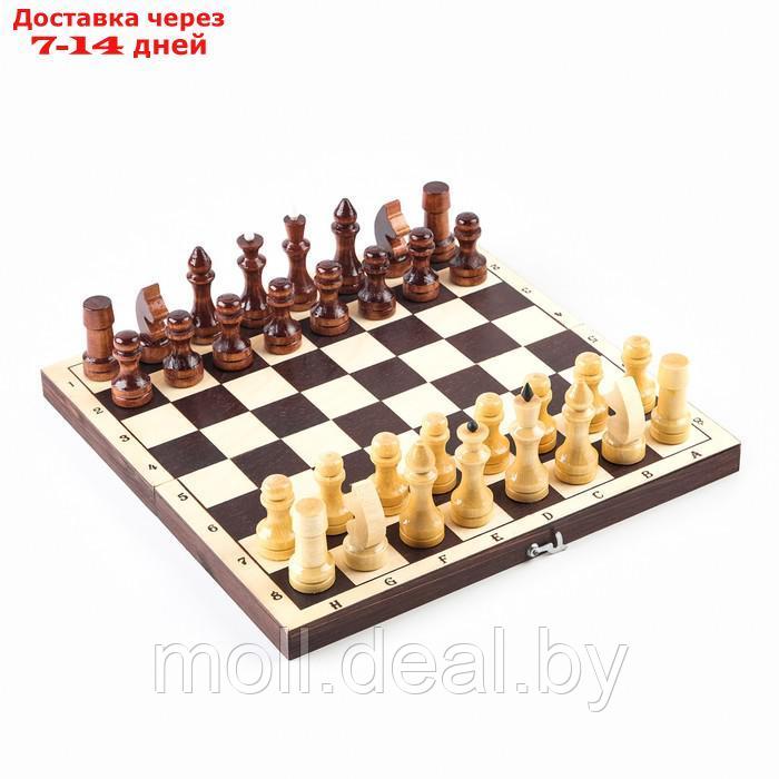 Шахматные фигуры обиходные, король h-7 см d-2.4 см, пешка h-4.4 см d-2.4 см, лак - фото 3 - id-p209757406