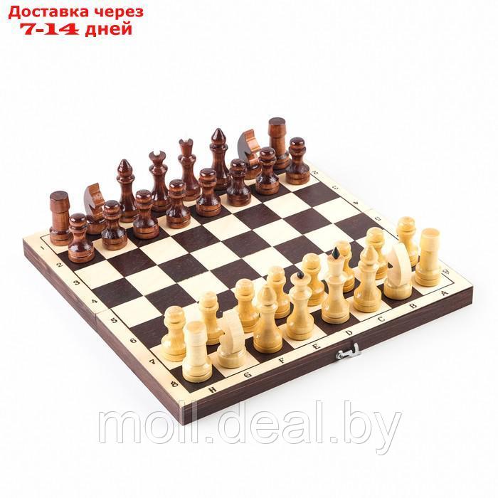 Шахматы обиходные, 29 х 29 см, темная доска - фото 2 - id-p209757407