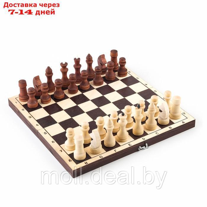 Шахматные фигуры обиходные, король h-7 см d-2.4 см, пешка h-4.4 см d-2.4 см - фото 3 - id-p209757408