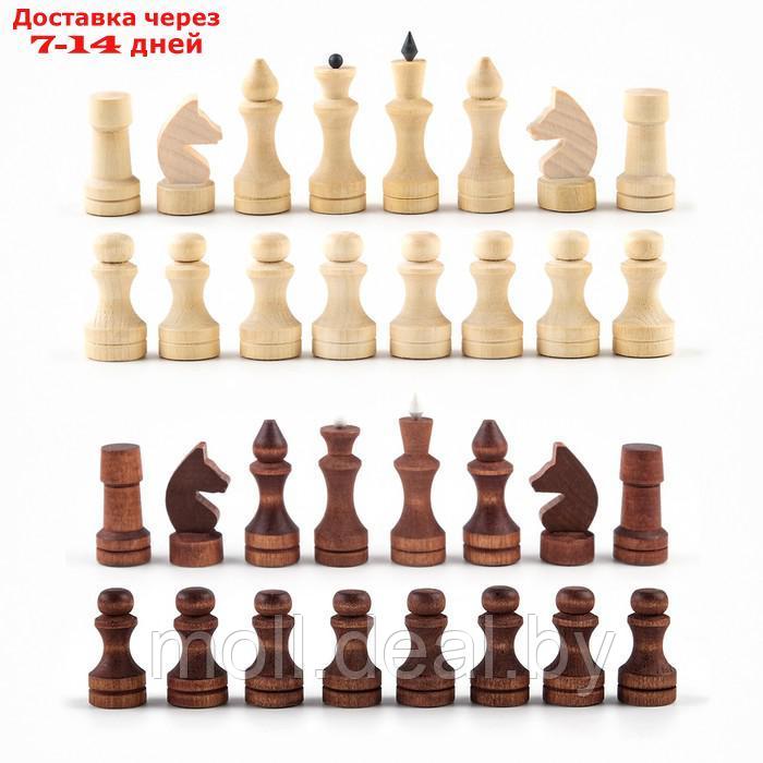 Шахматные фигуры обиходные, король h-7 см d-2.4 см, пешка h-4.4 см d-2.4 см - фото 4 - id-p209757408