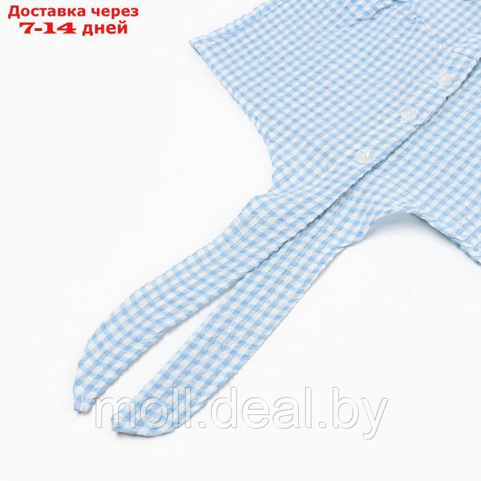 Комплект для девочки (футболка/шорты), цвет голубой, рост 116см - фото 3 - id-p209816757