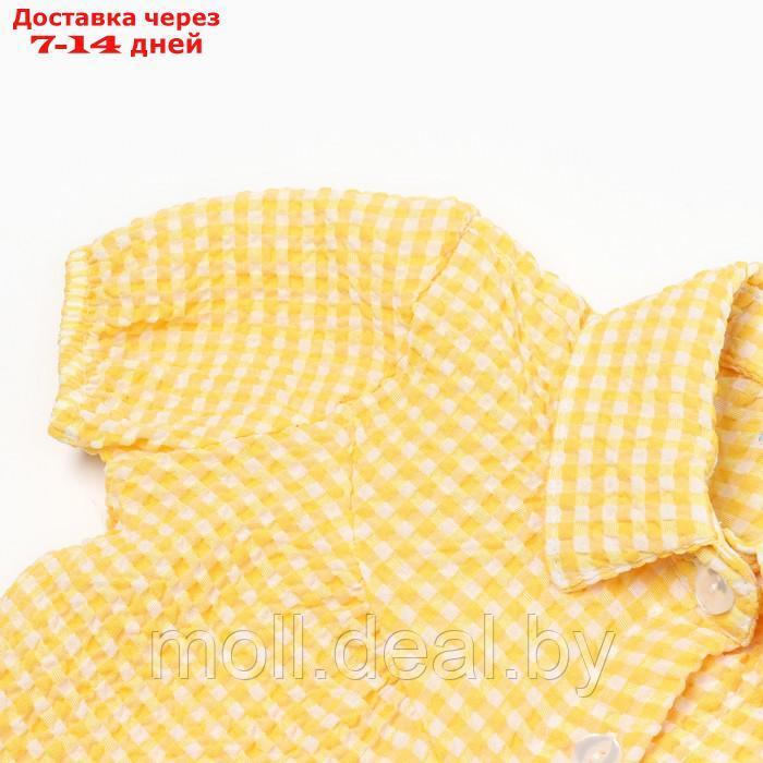 Комплект для девочки (футболка/шорты), цвет жёлтый, рост 98см - фото 2 - id-p209816758