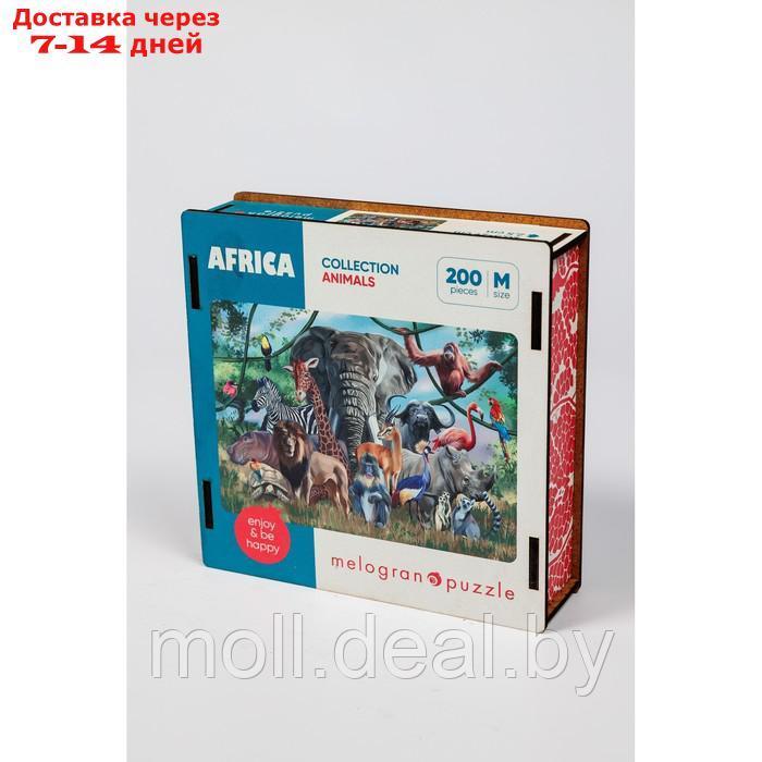 Пазл фигурный "Животные Африки", 200 деталей, 20.5 х 29 см - фото 1 - id-p209759617