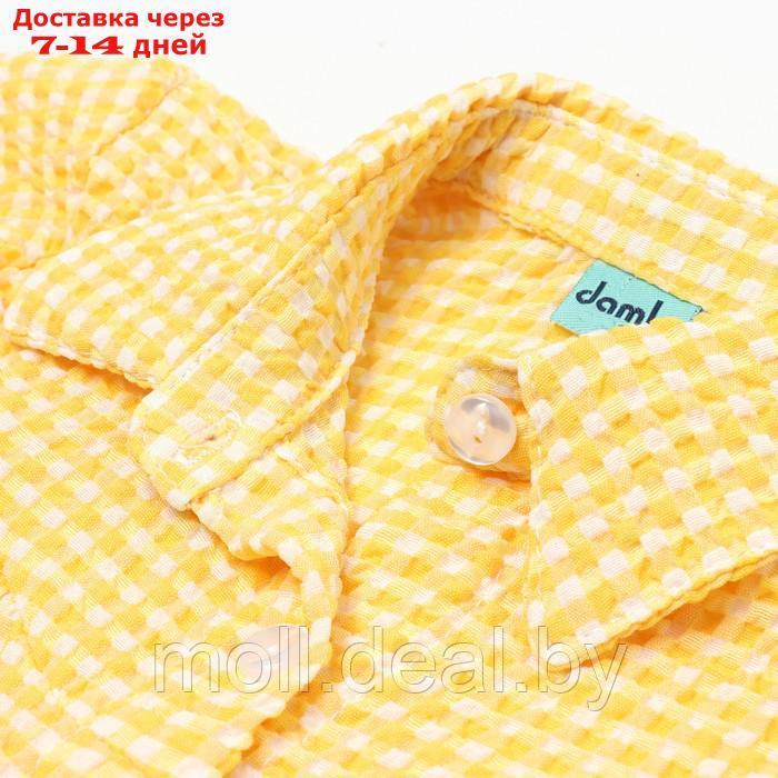 Комплект для девочки (футболка/шорты), цвет жёлтый, рост 116см - фото 2 - id-p209816879