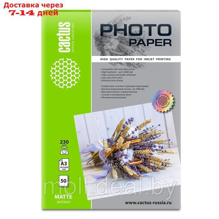 Фотобумага для струйной печати А3, 50 листов Cactus, 230 г/м2, односторонняя, матовая - фото 1 - id-p209819964