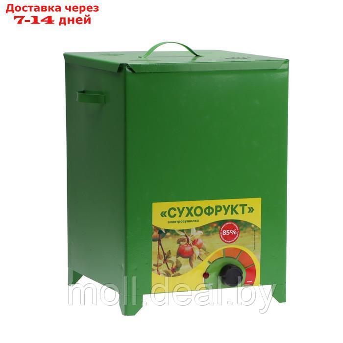 Сушилка для овощей и фруктов "СУХОФРУКТ" В01, 450 Вт, 20 л, 4 яруса, зелёная - фото 1 - id-p209825034