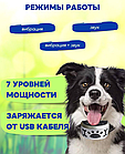 Электронный ошейник для собак Антилай USB (без тока, 7 уровней чувствительности, 3 режима воздействия) / Без т, фото 7