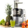 Соковыжималка Sana Juicer EUJ-828, серебристый