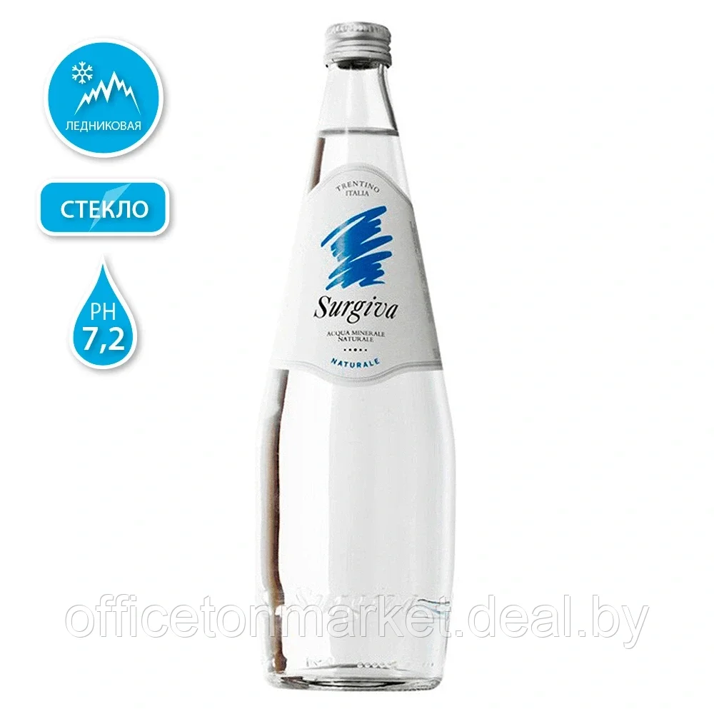 Вода минеральная природная питьевая «Surgiva», 0.75 л., негазированная - фото 1 - id-p141147275