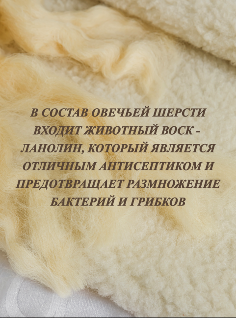 Одеяло из натуральной овечьей шерсти Lanatex. Двусторонне 170х205см. - фото 6 - id-p173771575