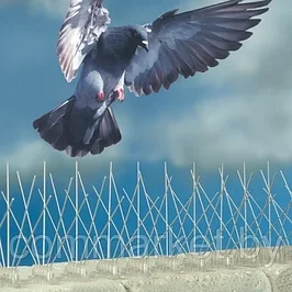Заграждение от птиц