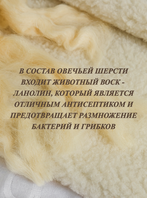 Одеяло из натуральной овечьей шерсти LANATEX с открытым ворсом одностороннее. 145*205см - фото 3 - id-p209998207