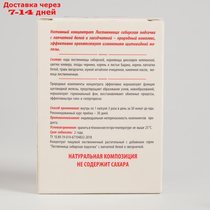 Капсулы "Лиственница сибирская подсочка" с лапчаткой белой, звездчаткой, для щитовидной железы №30*0,5 г - фото 3 - id-p209289334