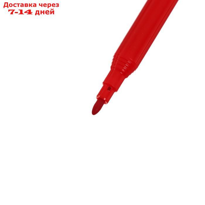 Фломастеры 36цв Faber-Castell "Замок" смываемые, к/к с е/п 554203 - фото 3 - id-p209292184