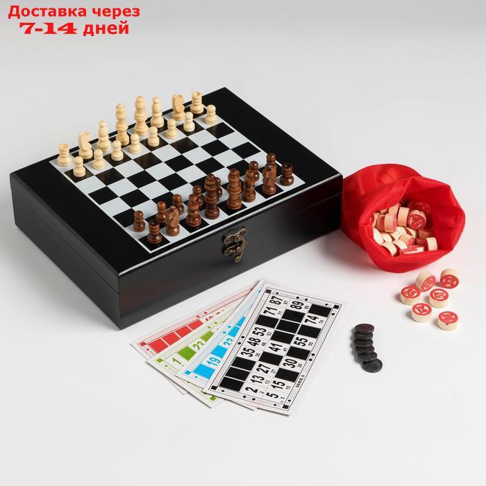 Набор шахмат с лото, бочонок 1.7х1 см, пешка 2 см, ферзь 4.2 см - фото 1 - id-p209933952