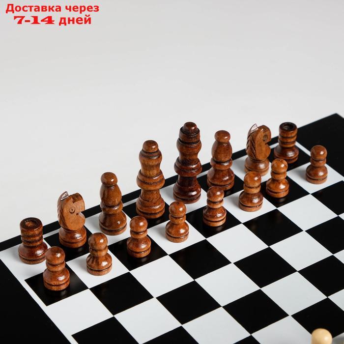 Набор шахмат с лото, бочонок 1.7х1 см, пешка 2 см, ферзь 4.2 см - фото 5 - id-p209933952