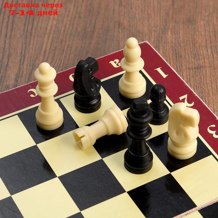 Настольная игра 3 в 1 "Карнал": нарды, шахматы, шашки, фишки - дерево, фигуры - пластик - фото 3 - id-p209932883