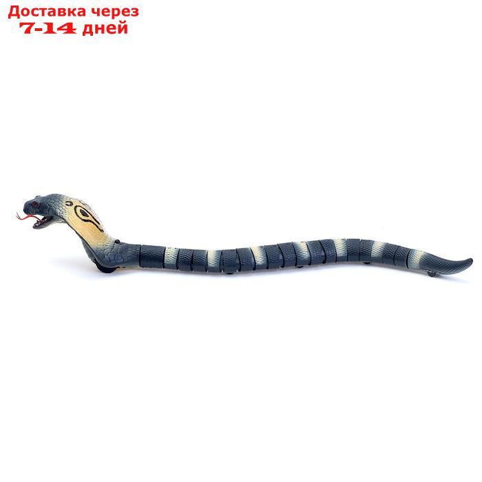 Змея радиоуправляемая "Королевская кобра", работает от аккумулятора, МИКС - фото 4 - id-p209932989