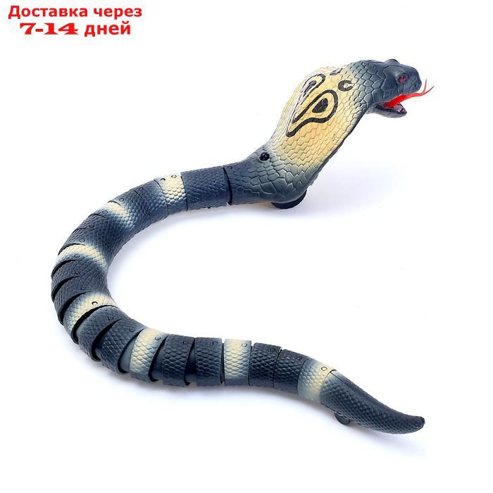 Змея радиоуправляемая "Королевская кобра", работает от аккумулятора, МИКС - фото 5 - id-p209932989