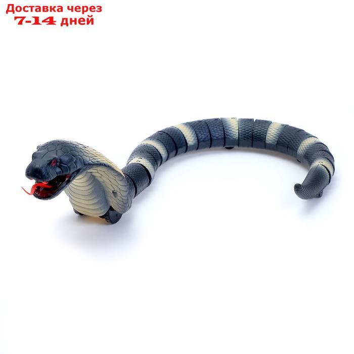 Змея радиоуправляемая "Королевская кобра", работает от аккумулятора, МИКС - фото 6 - id-p209932989