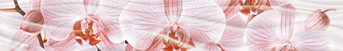 Плитка керамическая для стен Орхидея 60х400(бордюр) - фото 1 - id-p210020415