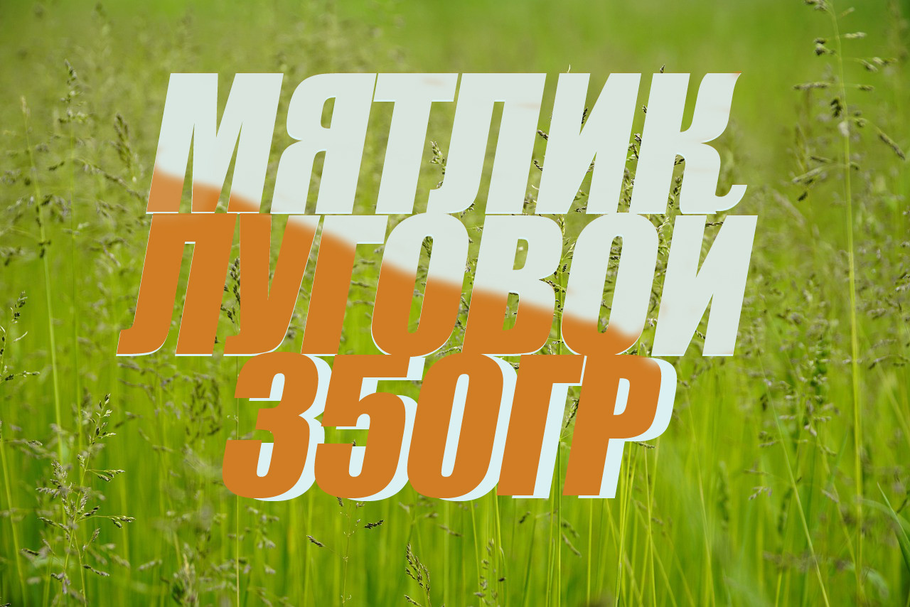 Мятлик Луговой, семена газона (травы) 350гр - фото 1 - id-p210055959