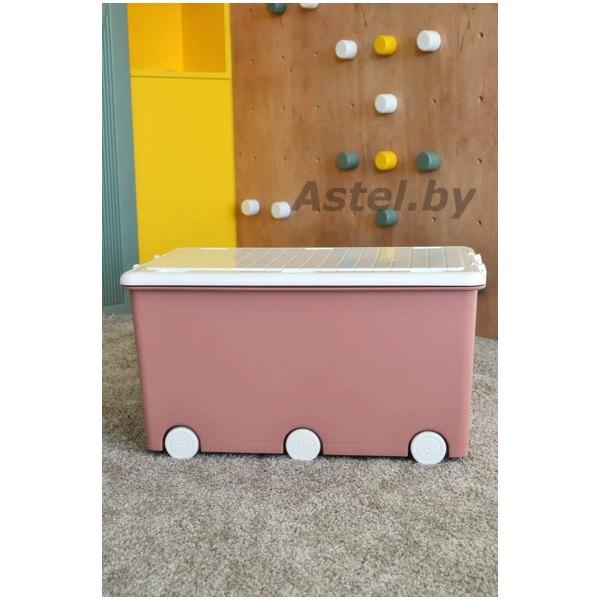 Детский ящик для игрушек TEGA BABY на колесах, 50л Пыльная роза PW-001-123 - фото 3 - id-p210100811