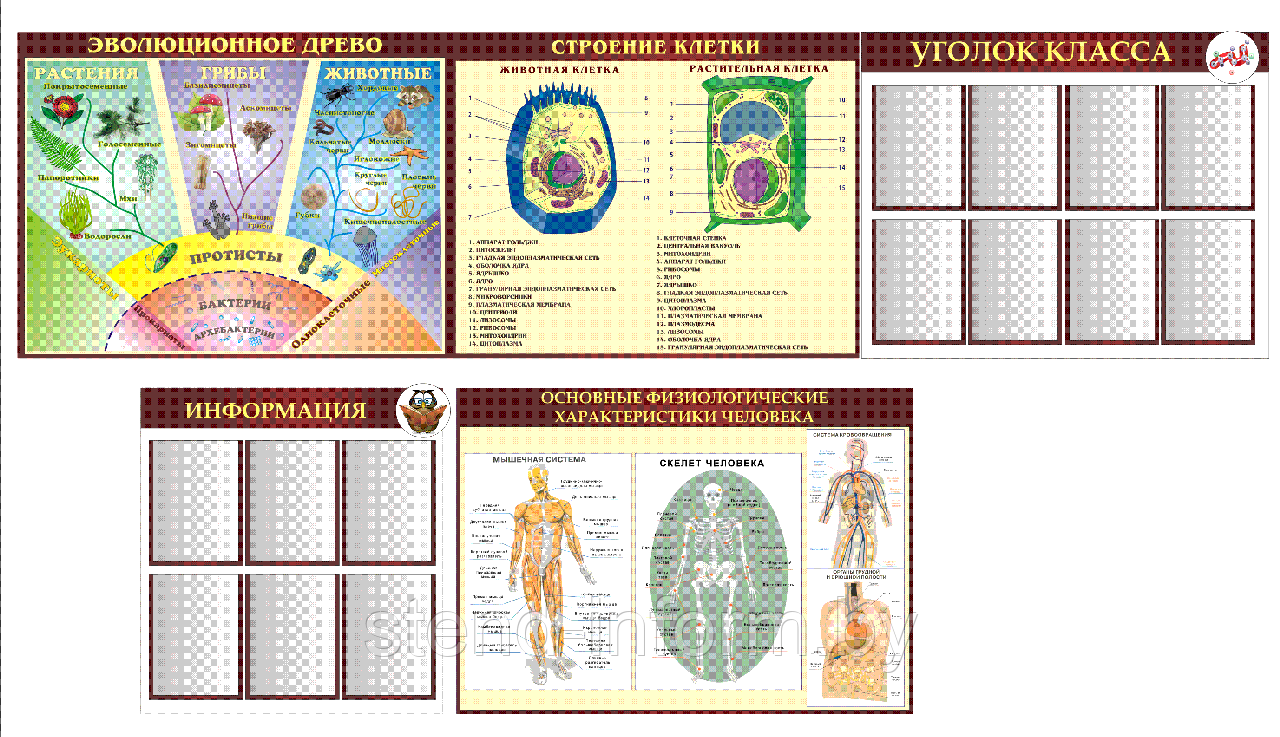 Стенды по биологии р-р 100*80 см, 120*70, 90*70 см стоимость комплекса , без борта - фото 1 - id-p29775299