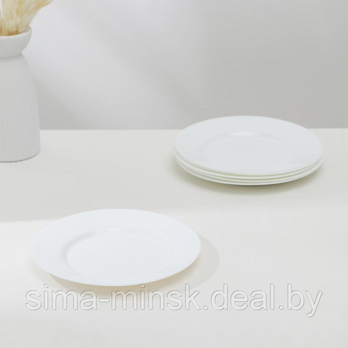 Набор обеденных тарелок Luminarc EVERYDAY, d=24 см, стеклокерамика, 6 шт, цвет белый - фото 1 - id-p210194470