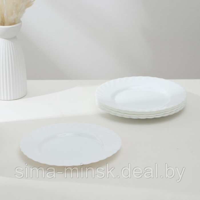 Набор обеденных тарелок Luminarc TRIANON, d=25 см, стеклокерамика, 6 шт, цвет белый - фото 1 - id-p210194477